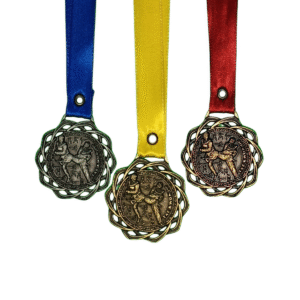 Medalla metálica Taekwando