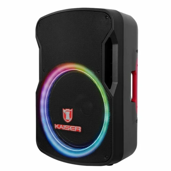 Bafle 15" con micrófono alámbrico