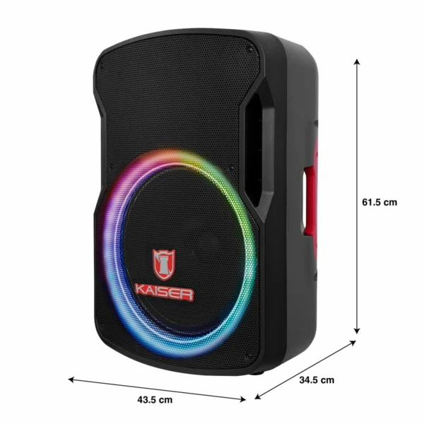 Bafle 15" con micrófono alámbrico