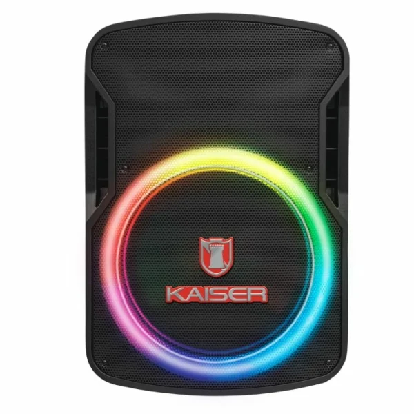 Bafle 15" con micrófono alámbrico