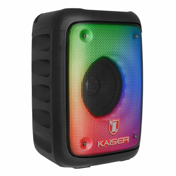 Bafle profesional 4"