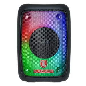 Bafle profesional 4"