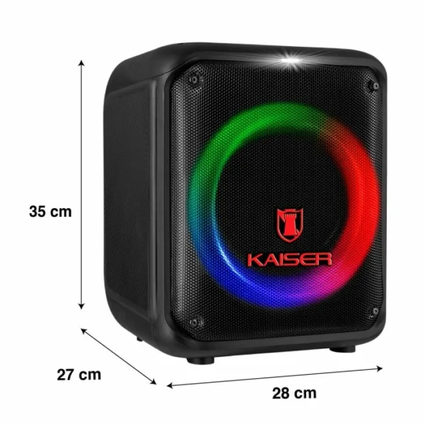 Bafle recargable de 8" con 30 W RMS