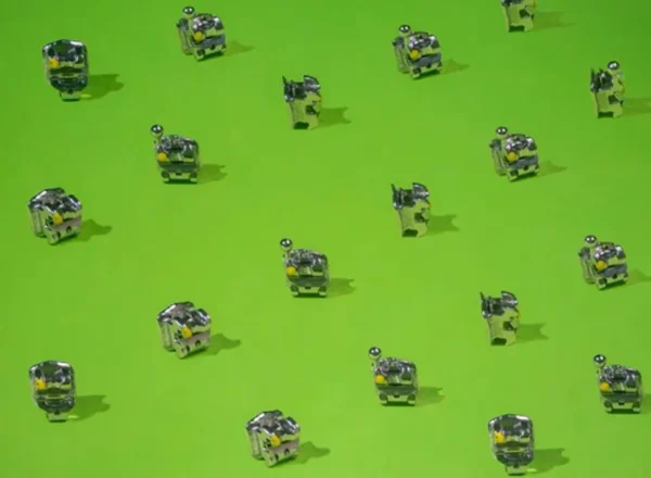 Kit De Brackets Autoligado .022